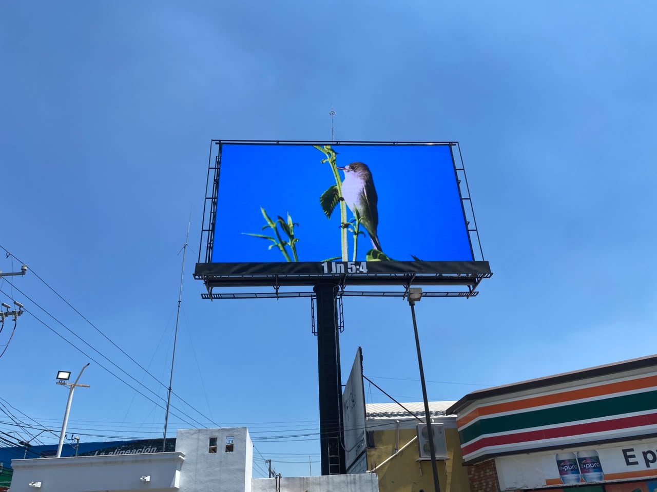 pantalla 1